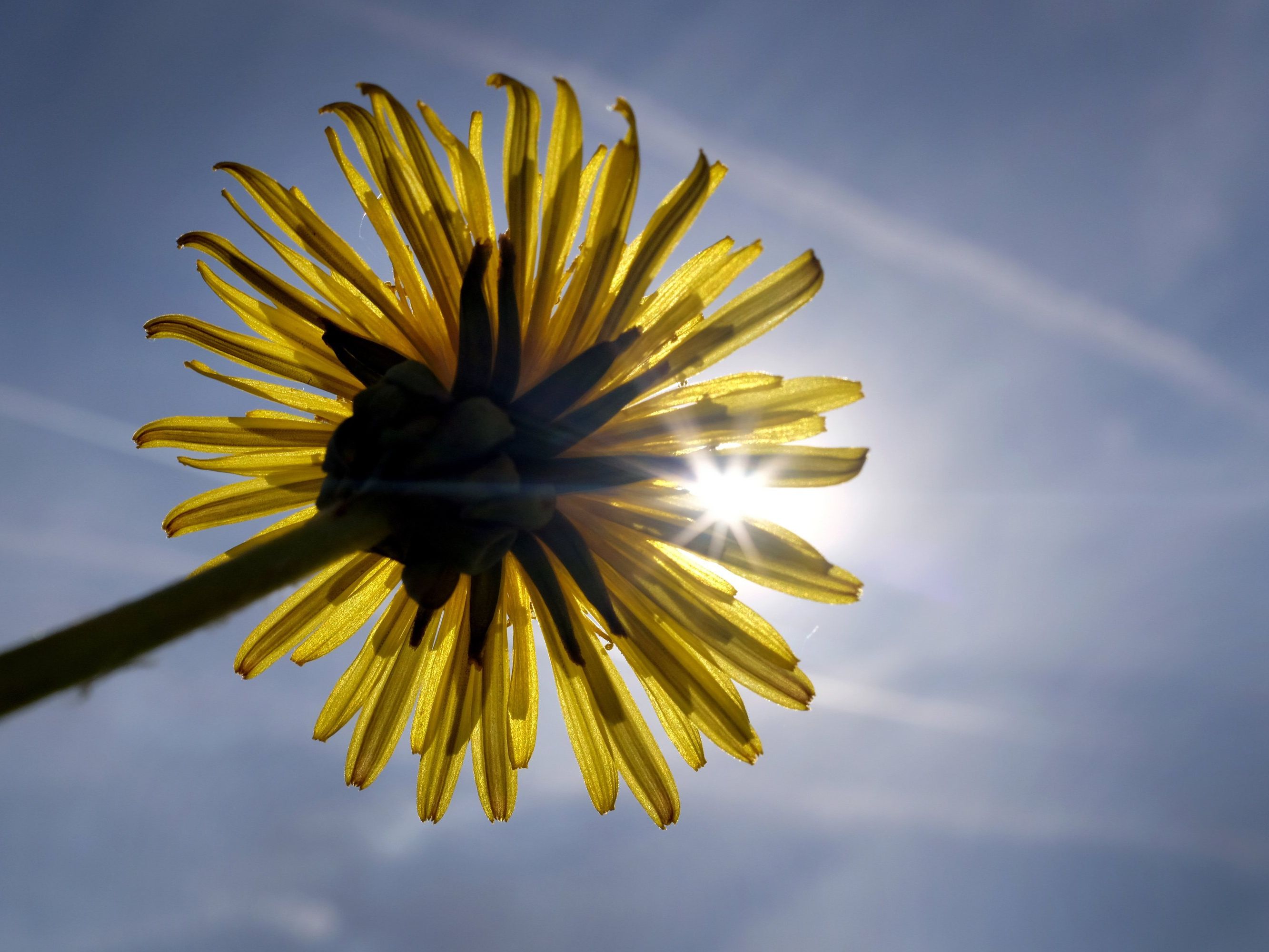 Erst am Wochenende darf man mit beständigen Temperaturen um die 30 Grad rechnen