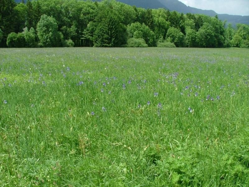 Gesunder Boden fördert schon in kleinen Mengen die Artenvielfalt. Gesunder Boden fördert schon in kleinen Mengen die Artenvielfalt.