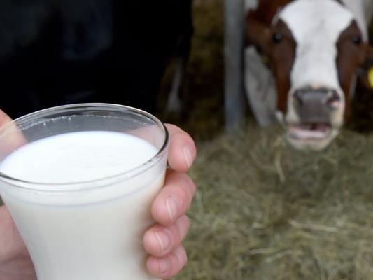 "Es gibt ein Milch-Defizit", sagt Wadim Semikin von Institut für Agrarmarktstudien in Moskau.