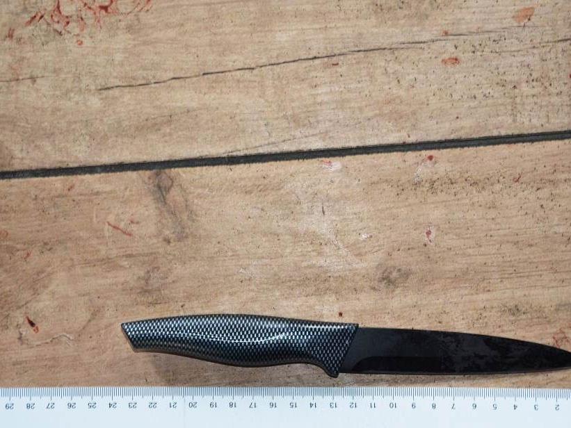 Das Messer, mit dem der Lebensgefährte der Mutter schwer verletzt wurde.