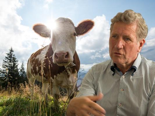 Die Vorarlberger Landesregierung hat eine Förderrichtlinie beschlossen, um künftig Kostenzuschüsse für Bio-Bauern gewähren zu können.