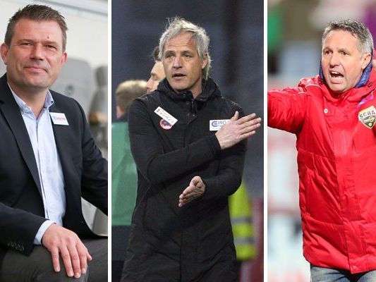 Die Bundesliga-Trainer in der großes Saisonstart-Umfrage. Die Bundesliga-Trainer in der großes Saisonstart-Umfrage.