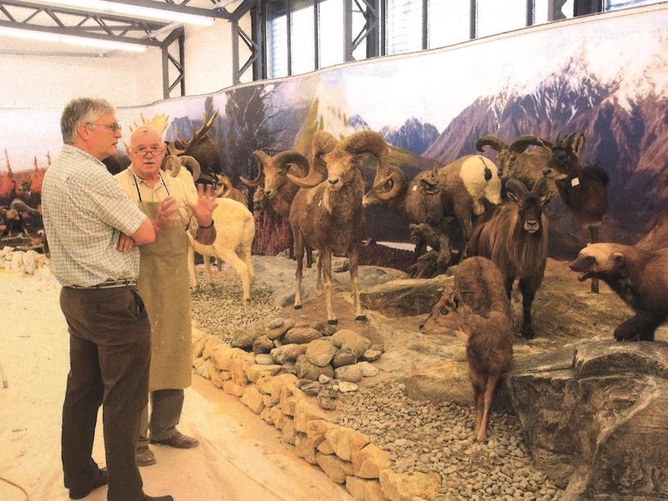 Armin Plattner führt durch das Jagdmuseum