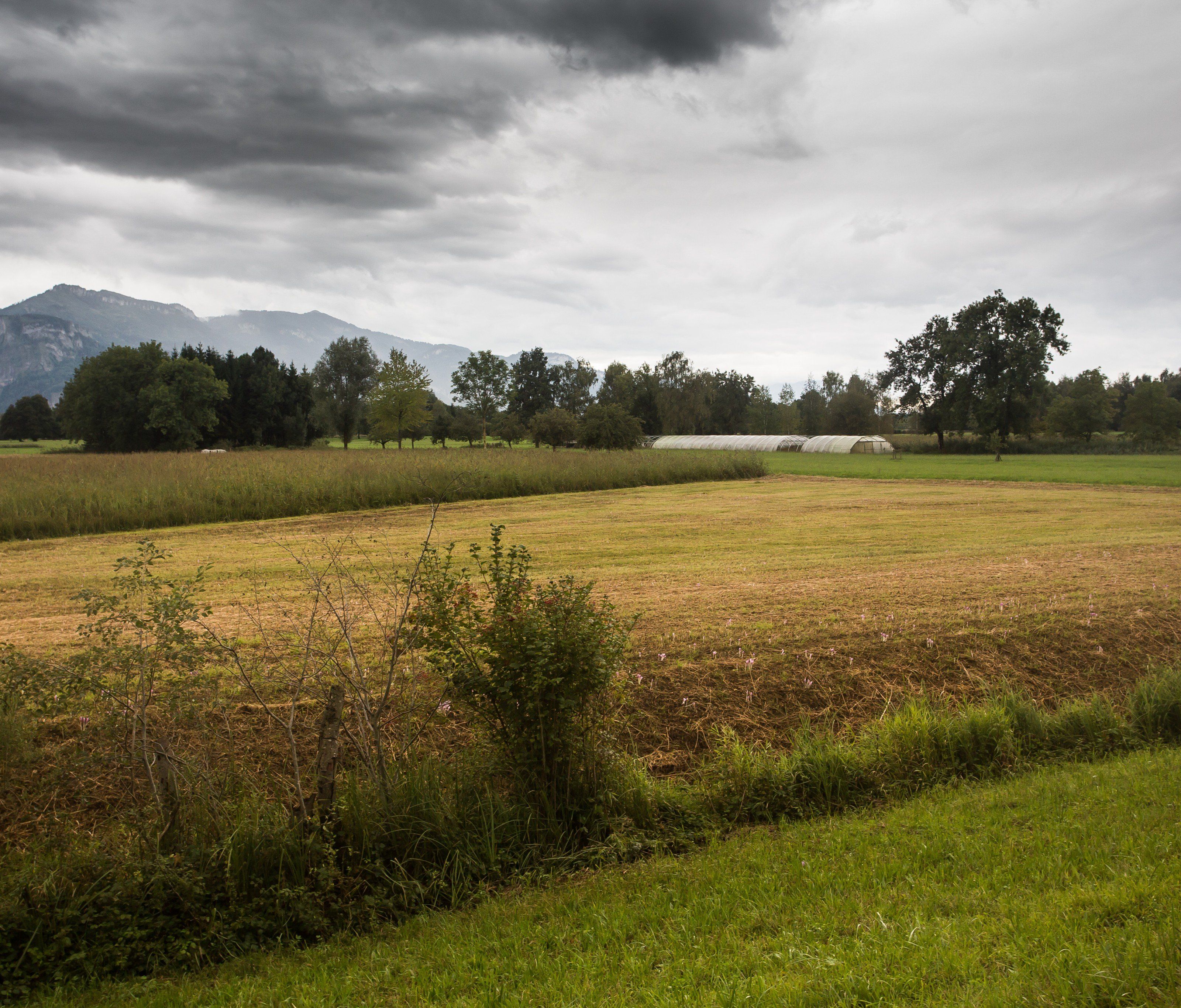 Kommt Bewegung ins Projekt? Kommt Bewegung ins Projekt?