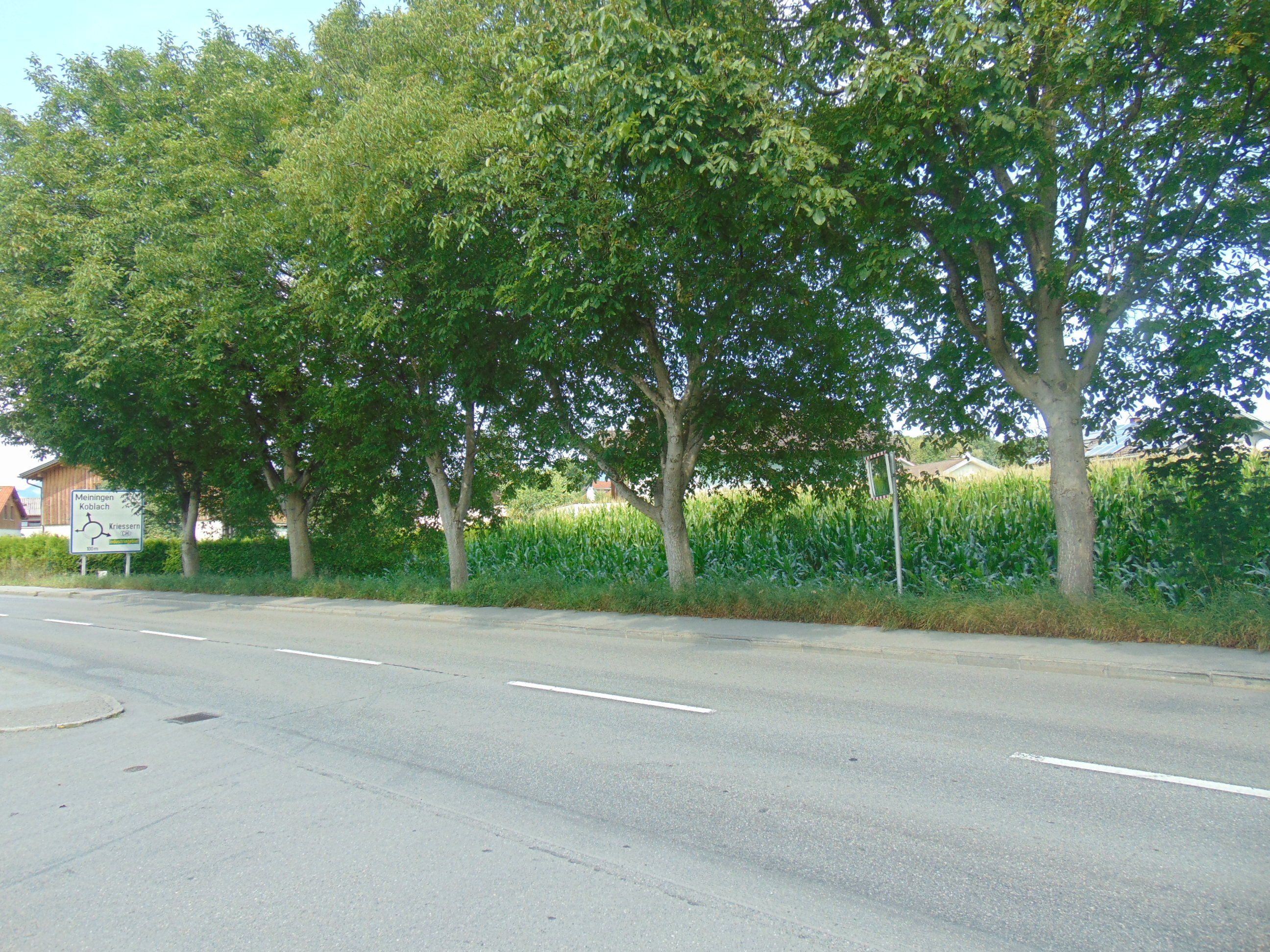 An der neuen Landstraße entstehen die Wohnanlagen für günstiges Wohnen. An der neuen Landstraße entstehen die Wohnanlagen für günstiges Wohnen.