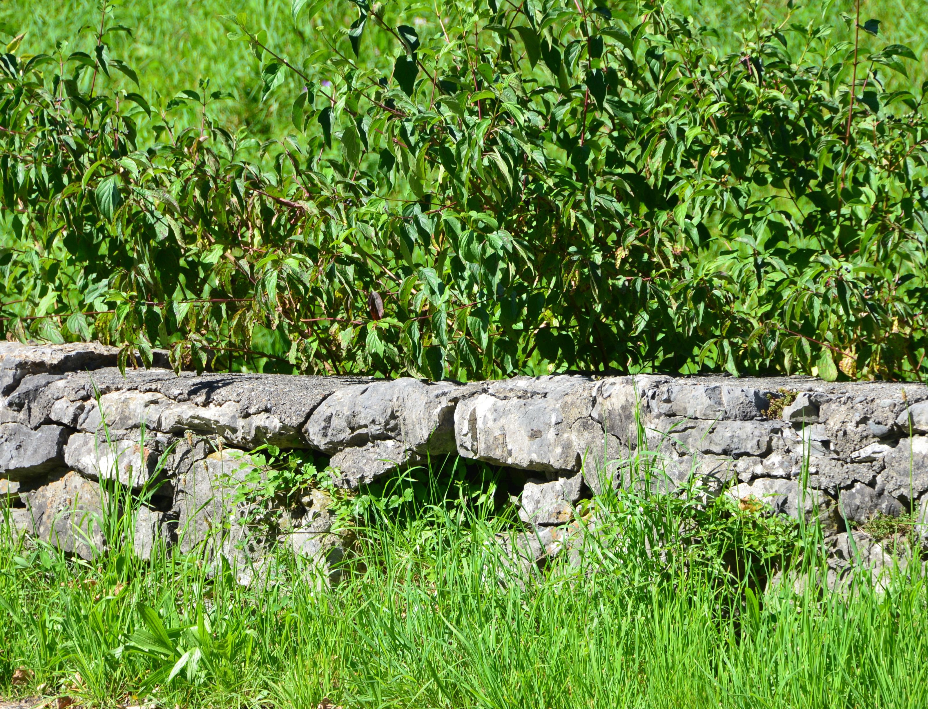 Trockenmauer Innerbraz Trockenmauer Innerbraz