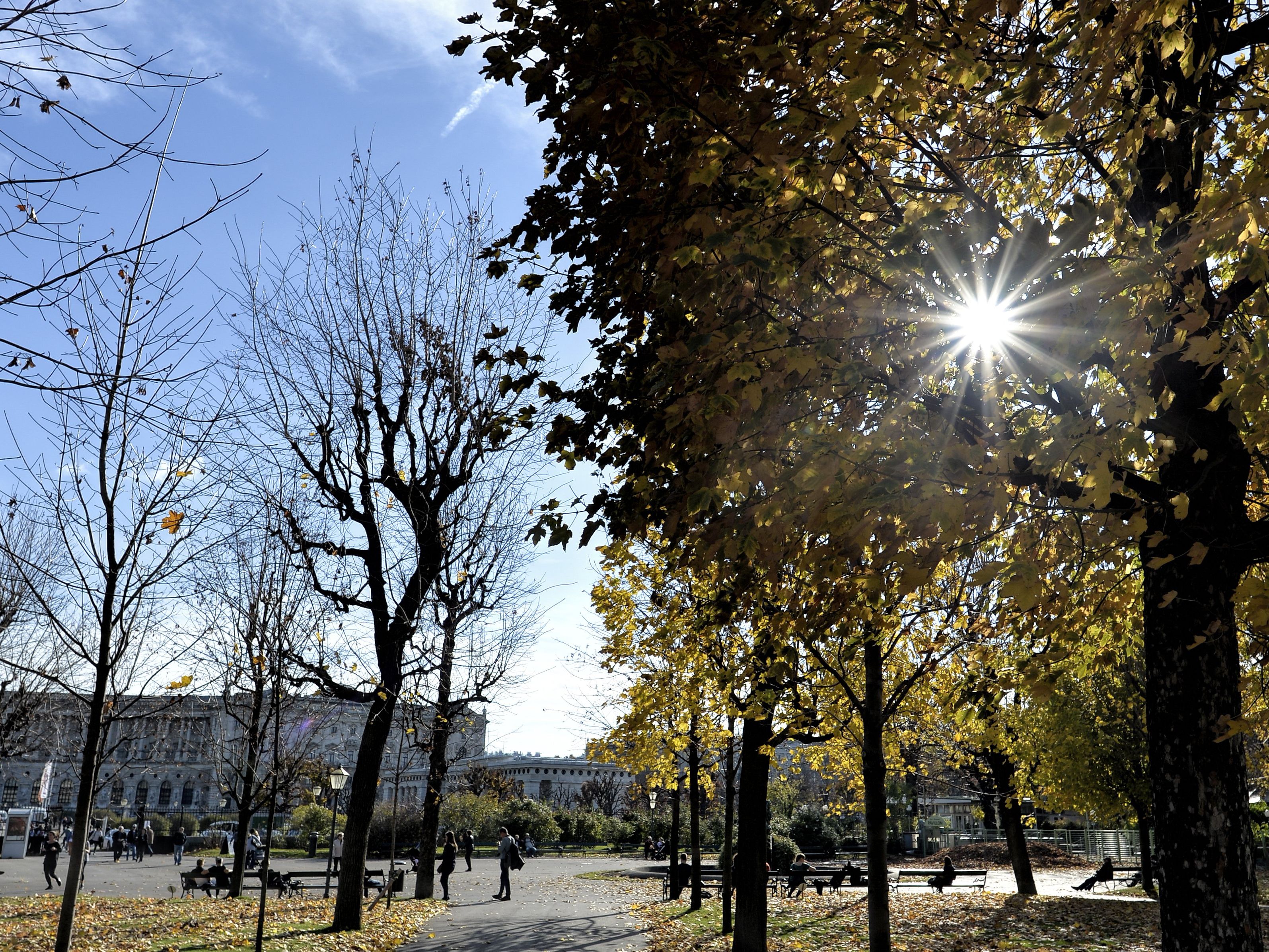 Mit einem Herbstfest zieht der Schlingermarkt Aufmerksamkeit an sich Mit einem Herbstfest zieht der Schlingermarkt Aufmerksamkeit an sich