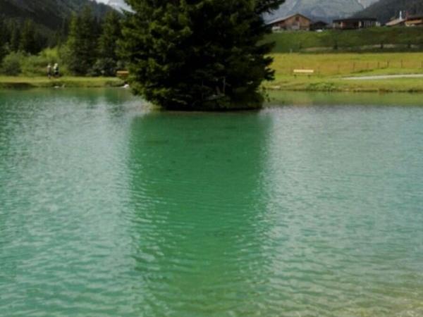 PVÖ-Ausflug nach Lech-Zug zum Formarinsee   "Dem schönsten Platz Österreichs"