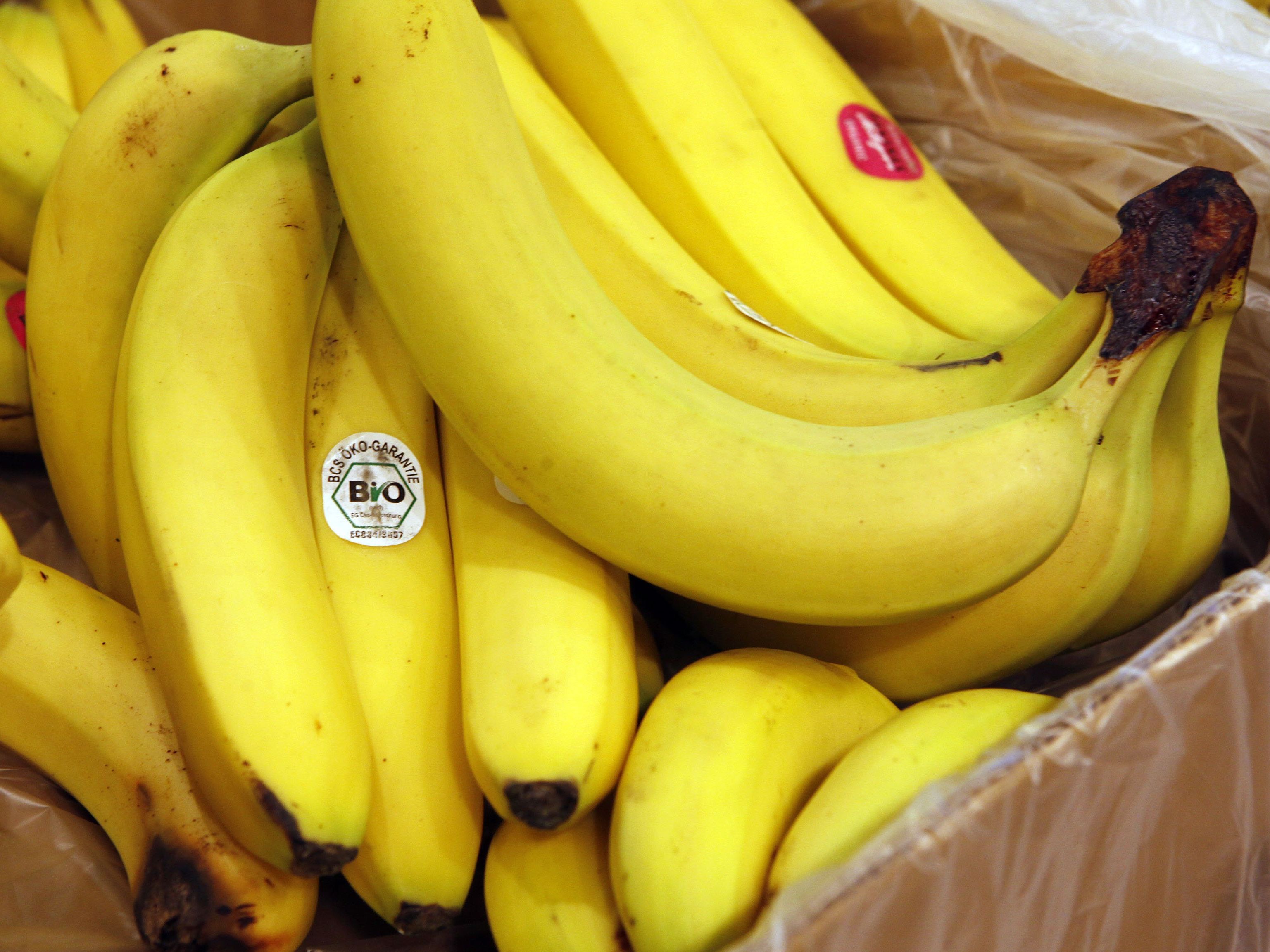 Das Tier versteckte sich in einer Bananenkiste. Das Tier versteckte sich in einer Bananenkiste.