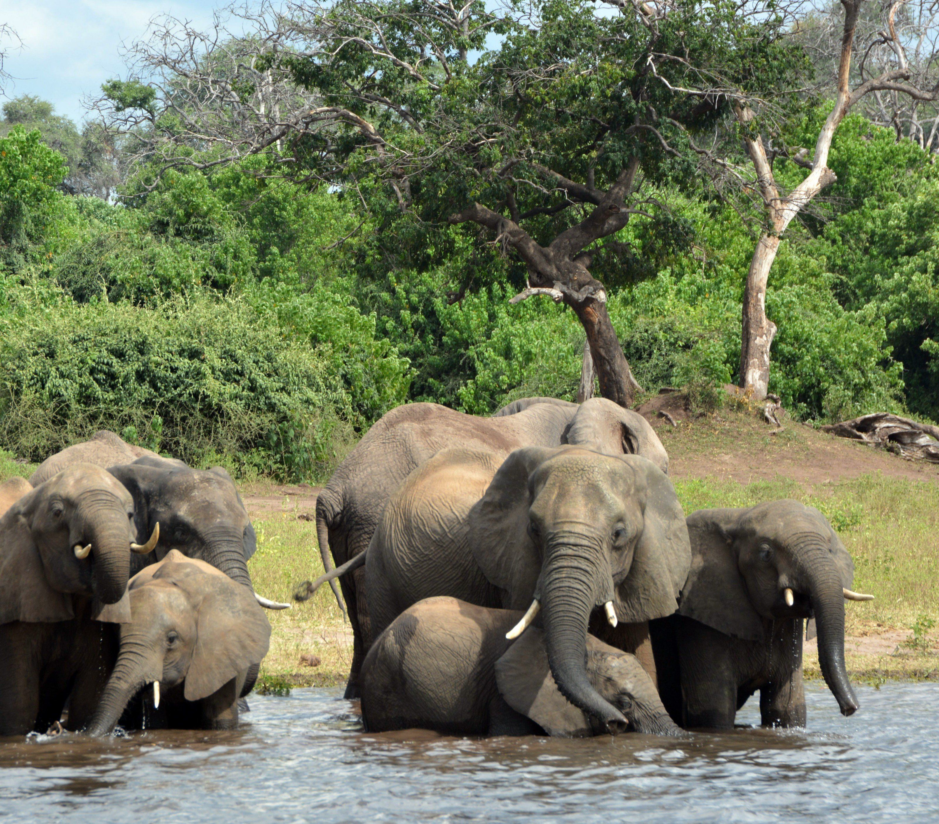 Der Grund für die Tat ist noch unklar. Der Grund für die Tat ist noch unklar.