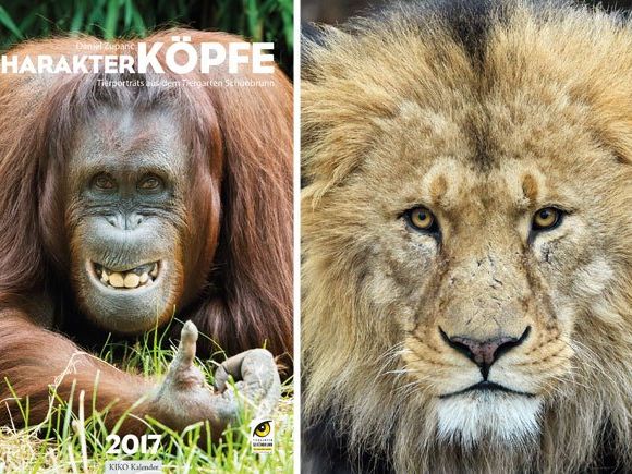 Erste Eindrücke aus dem Schönbrunn-Kalender Erste Eindrücke aus dem Schönbrunn-Kalender