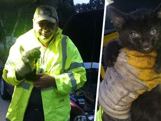 Die kleine Samtpfote wurde von ÖAMTC-Pannenfahrer Roman Bauer gerettet. Die kleine Samtpfote wurde von ÖAMTC-Pannenfahrer Roman Bauer gerettet.