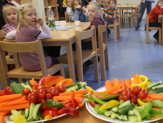 Ernährungsexperten in Vorarlberg halten nichts von Gesetzen, welche die vegane Ernährung von Kindern unter Strafe stellen.