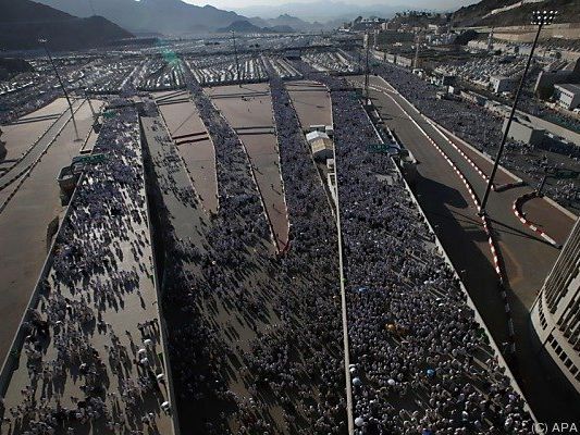 Tausende Pilger unterwegs Tausende Pilger unterwegs