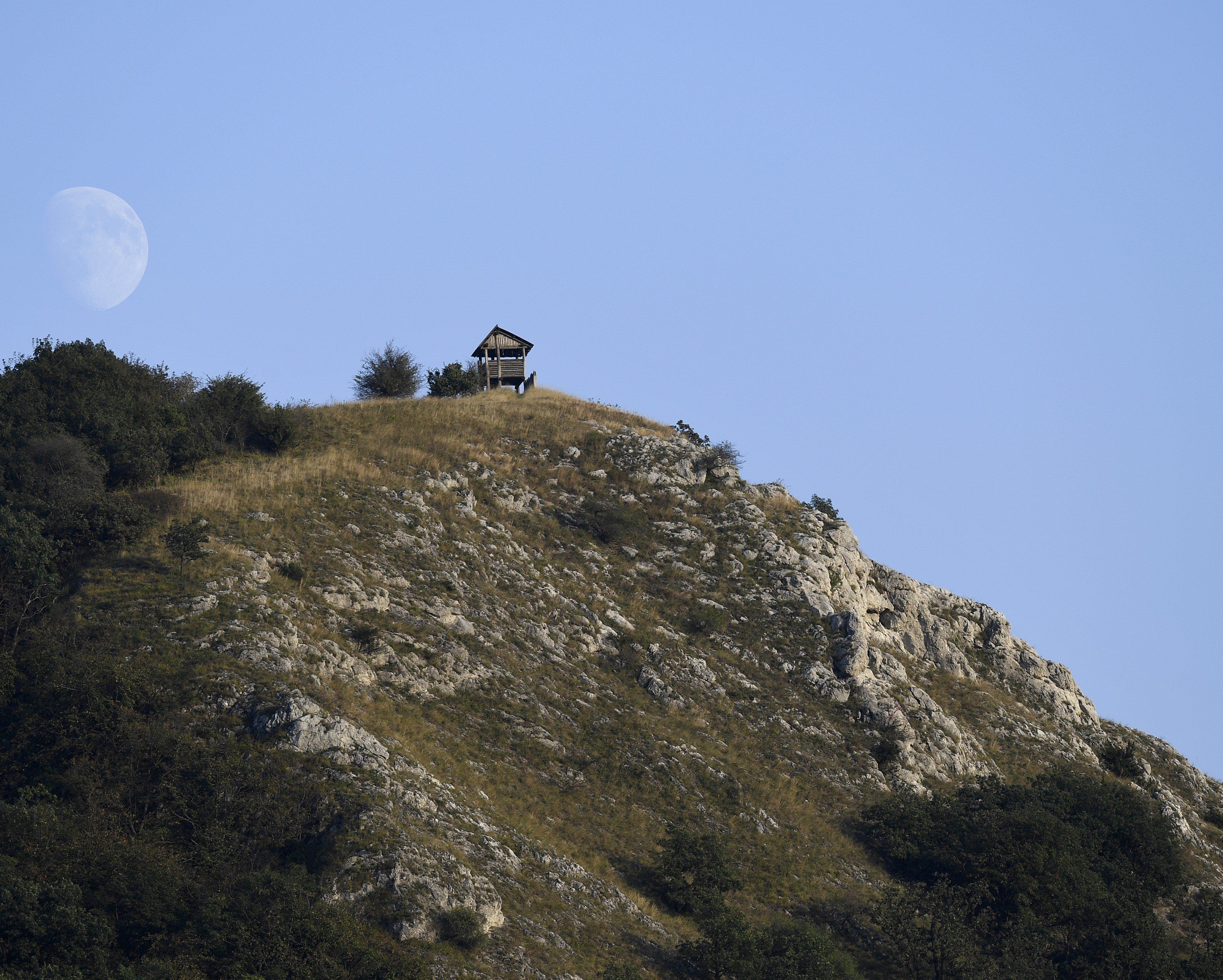 Der Nationalpark Donau-Auen zwischen Wien und Bratislava. Der Nationalpark Donau-Auen zwischen Wien und Bratislava.