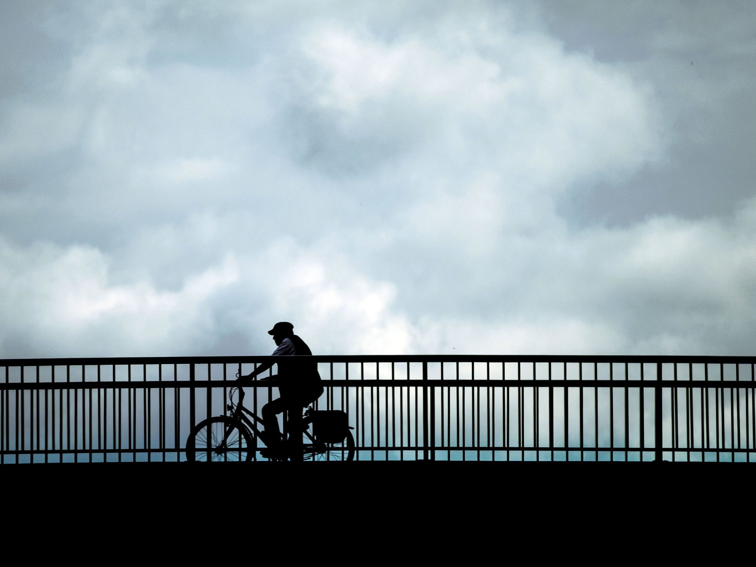 Ein Radfahrer benutzte alkoholisiert die Nordostautobahn. Ein Radfahrer benutzte alkoholisiert die Nordostautobahn.