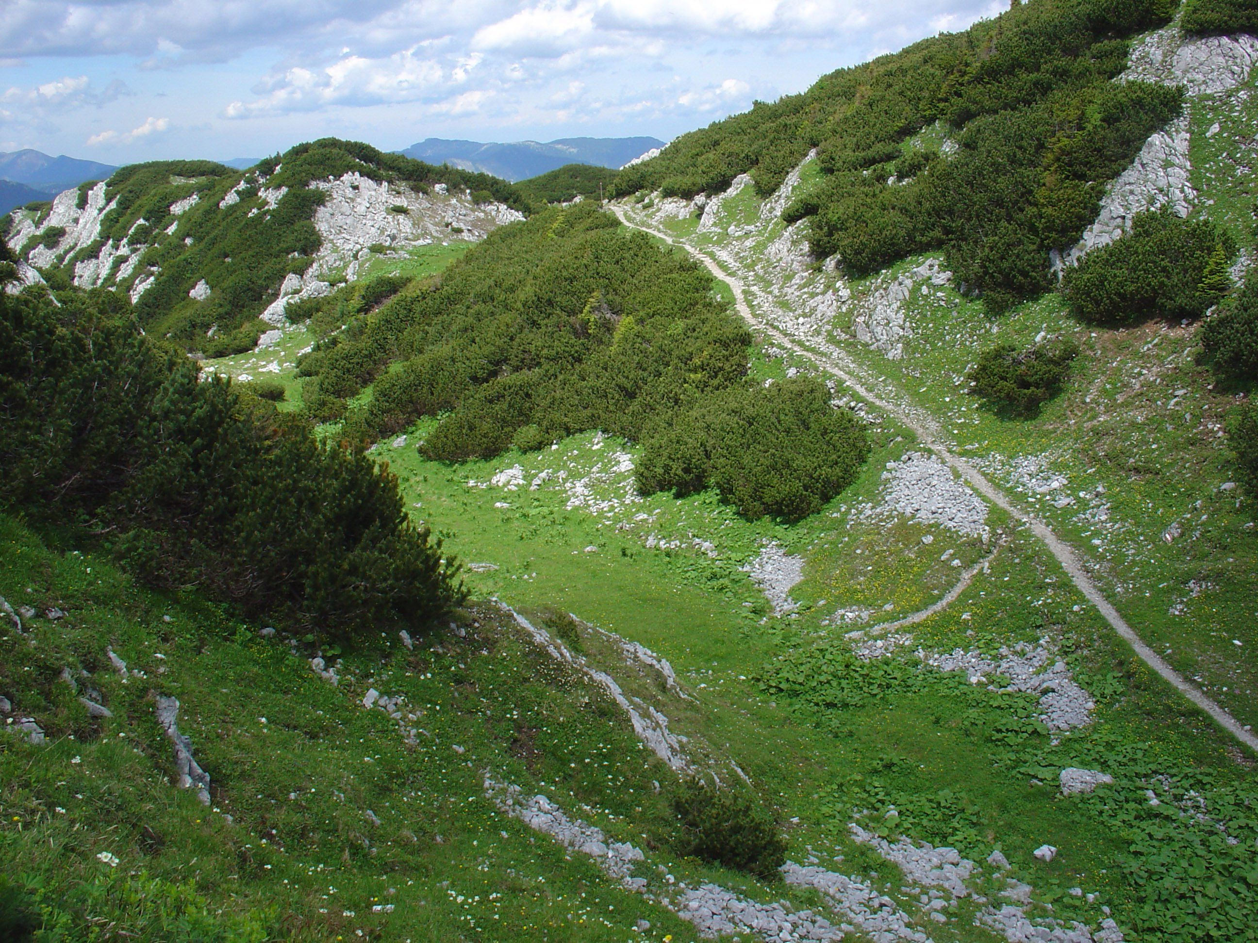 Die Bergrettung Reichenau hatte diesen Sonntag viel zu tun. Die Bergrettung Reichenau hatte diesen Sonntag viel zu tun.