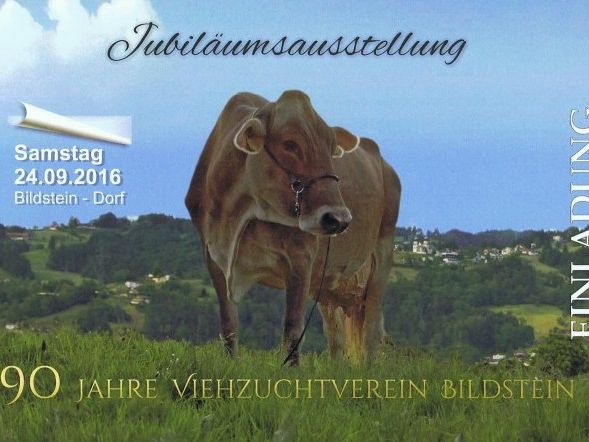 Jubiläumsausstellung Jubiläumsausstellung
