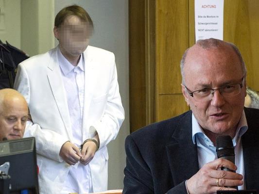 Gerichtspsychiater Reinhard Haller hat Kritik am Prozess gegen den Amokfahrer von Graz geübt.