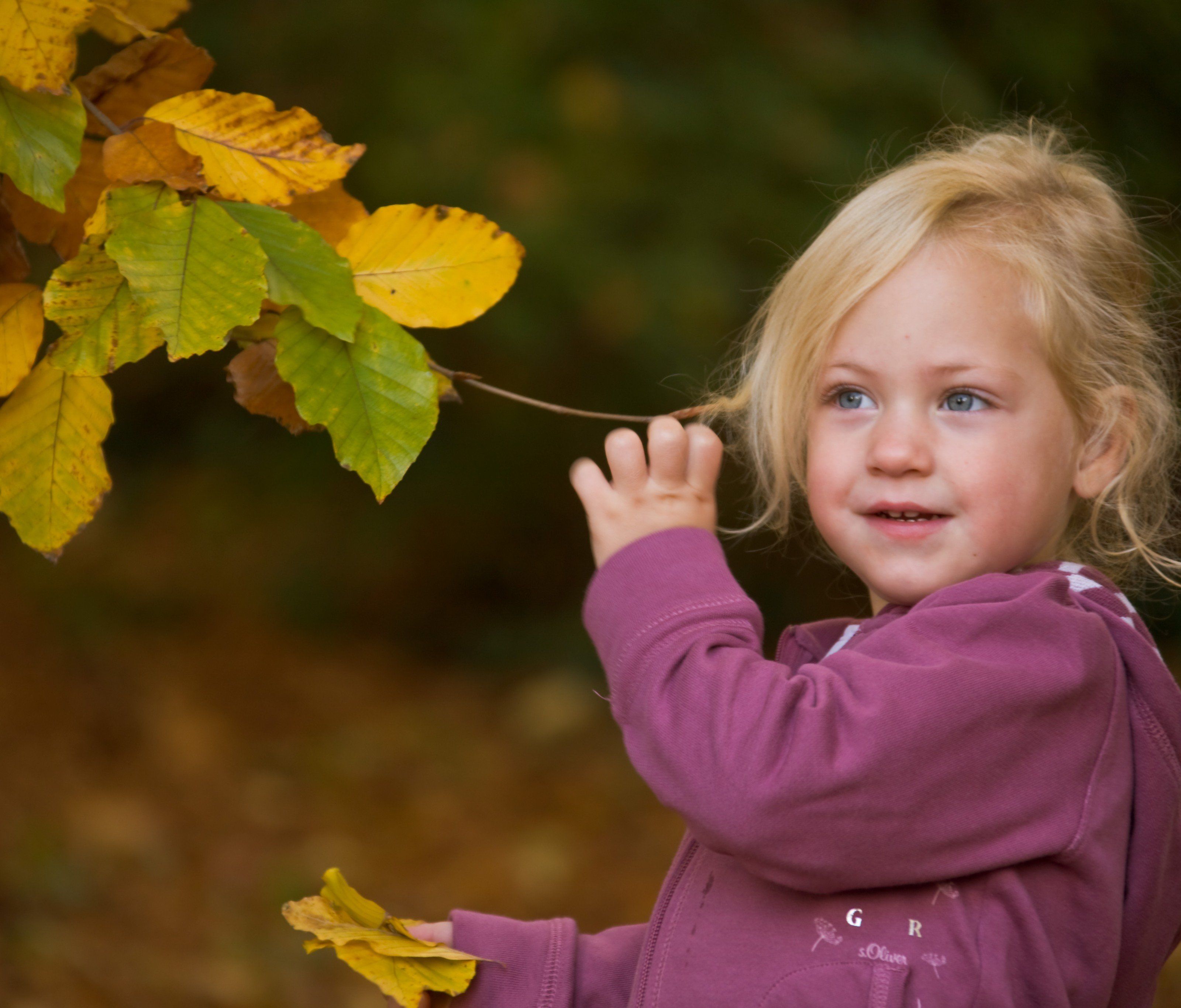 Am 22. September ist Tag und Nacht gleich lang Am 22. September ist Tag und Nacht gleich lang