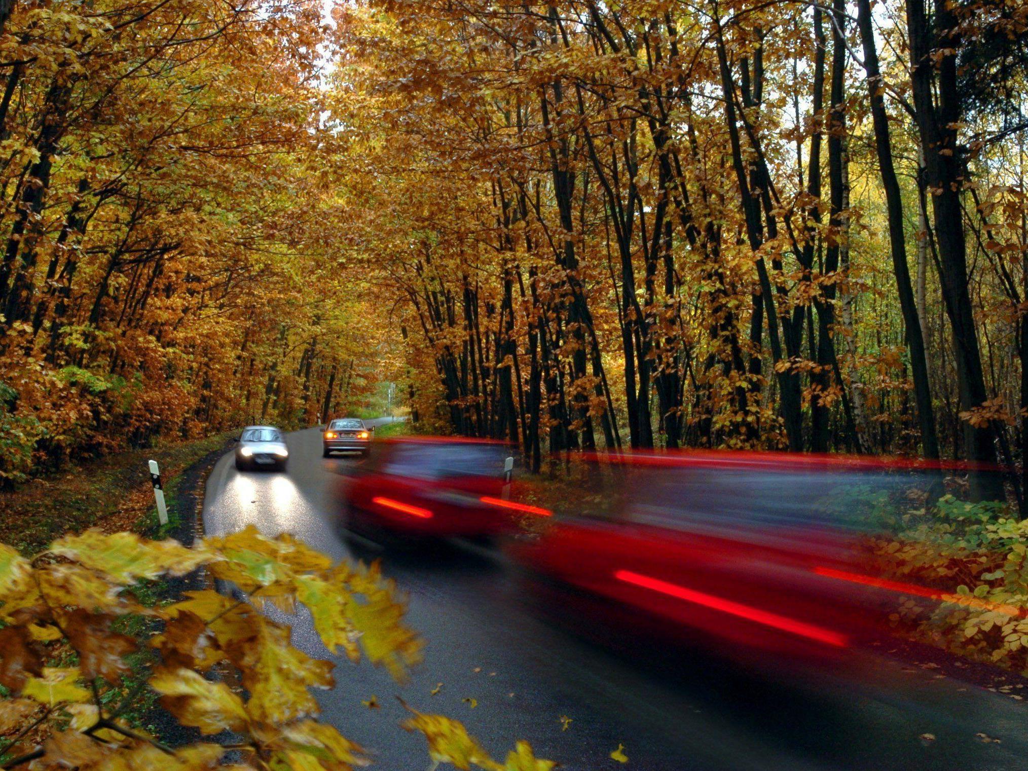 Fahren Sie im Herbst vorsichtiger!