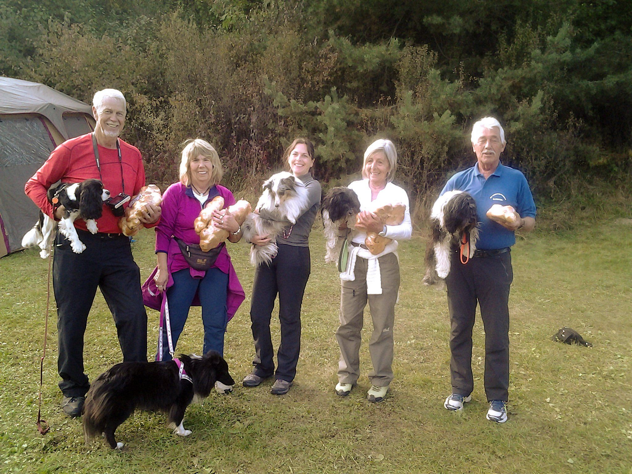 HSV Rankweil- Agilitystarterteam in Imst HSV Rankweil- Agilitystarterteam in Imst