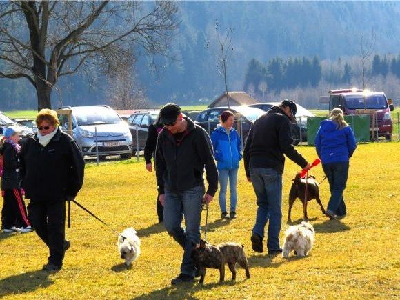 Die Hundeerziehungskurse werden oft als Prävention verstanden und sind auch über die Landesgrenzen hinaus äußerst beliebt.