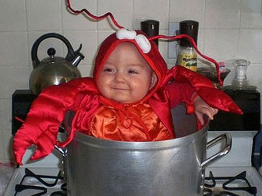 Auch den Versuchskaninchen scheint das Verkleiden Spaß zu machen. Auch den Versuchskaninchen scheint das Verkleiden Spaß zu machen.