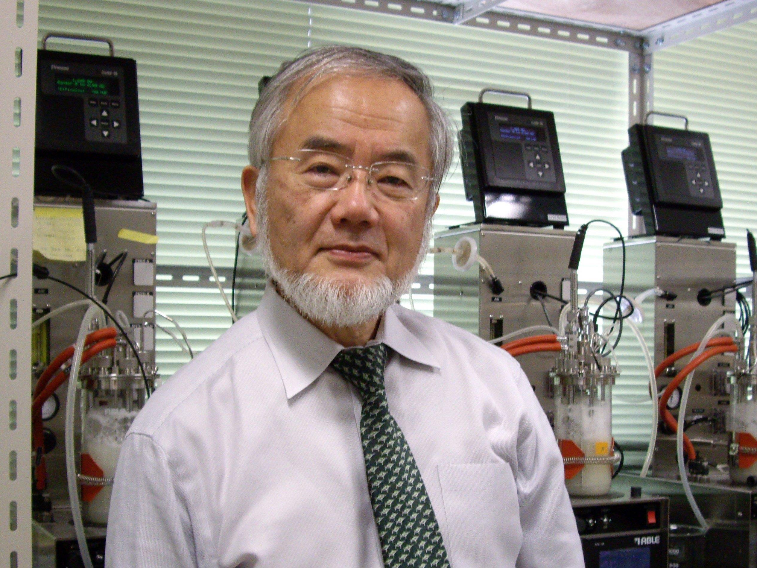 Yoshinori Ohsumi gewann den medizinischen Nobelpreis.