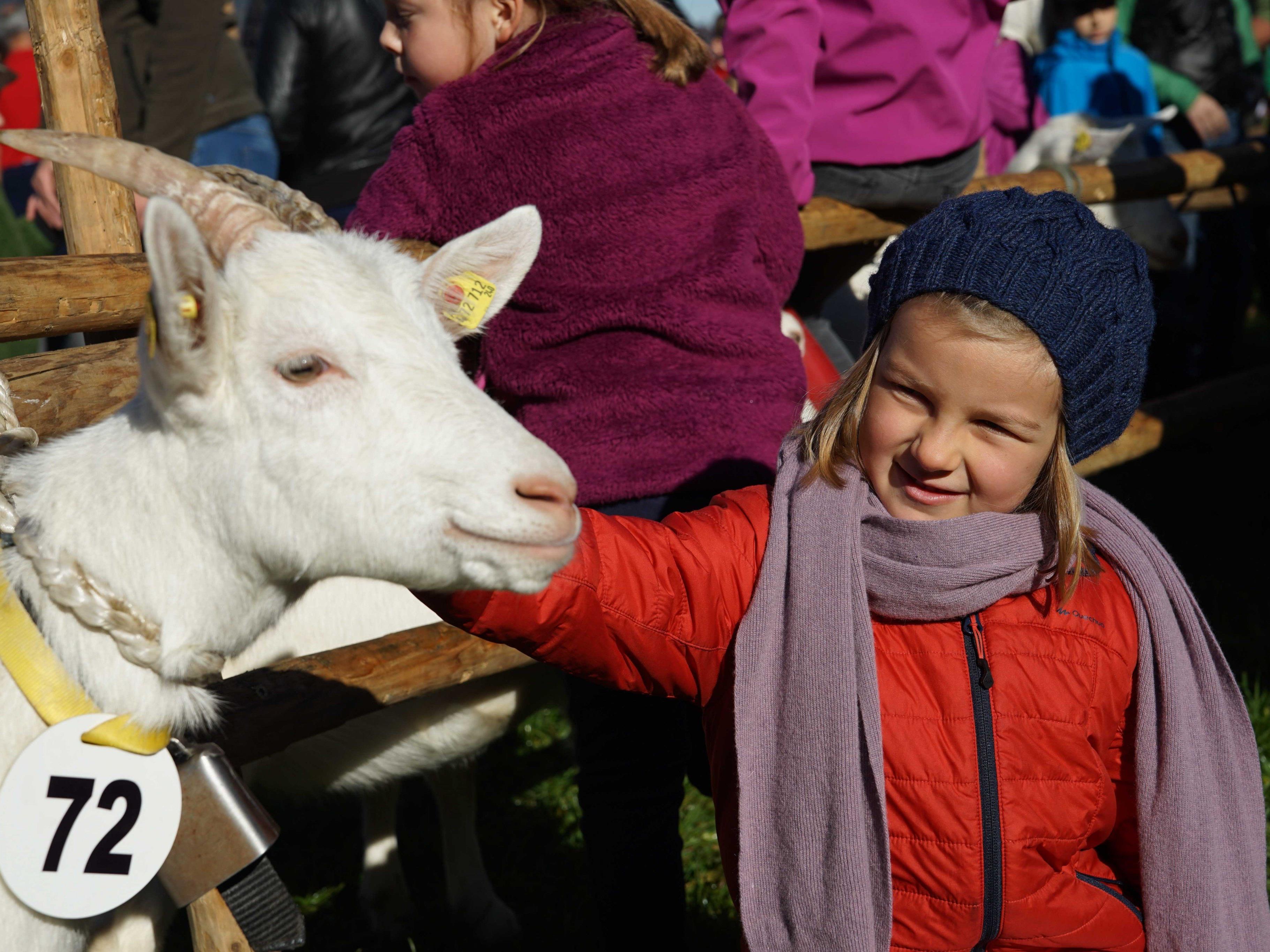 Am Staatsfeiertag treffen sich rund 10.000 Besucher in Andelsbuch, um die Marktatmosphäre zu genießen und die Ziegen und Noriker zu bewundern.