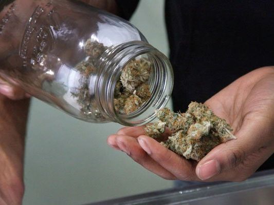 300 Gramm Cannabiskraut wurden bei dem 28-Jährigen gefunden. 300 Gramm Cannabiskraut wurden bei dem 28-Jährigen gefunden.