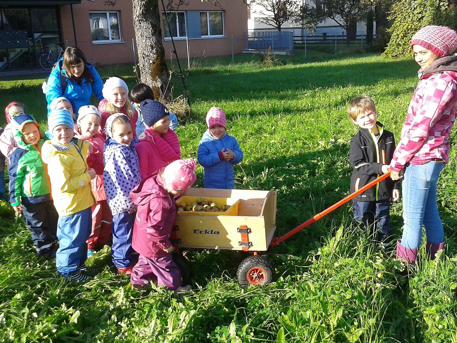 Selbstgepflückte Äpfel sorgen für den besten Apfelsaft Selbstgepflückte Äpfel sorgen für den besten Apfelsaft