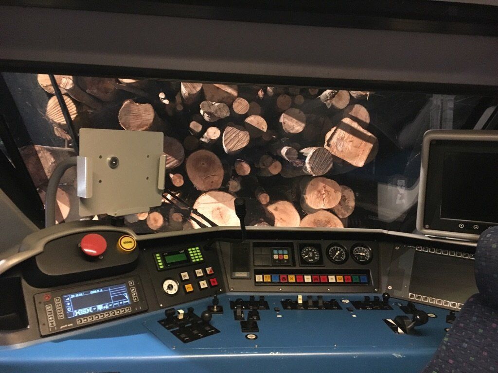 Die Güterwaggons waren mit Holz beladen. Die Güterwaggons waren mit Holz beladen.