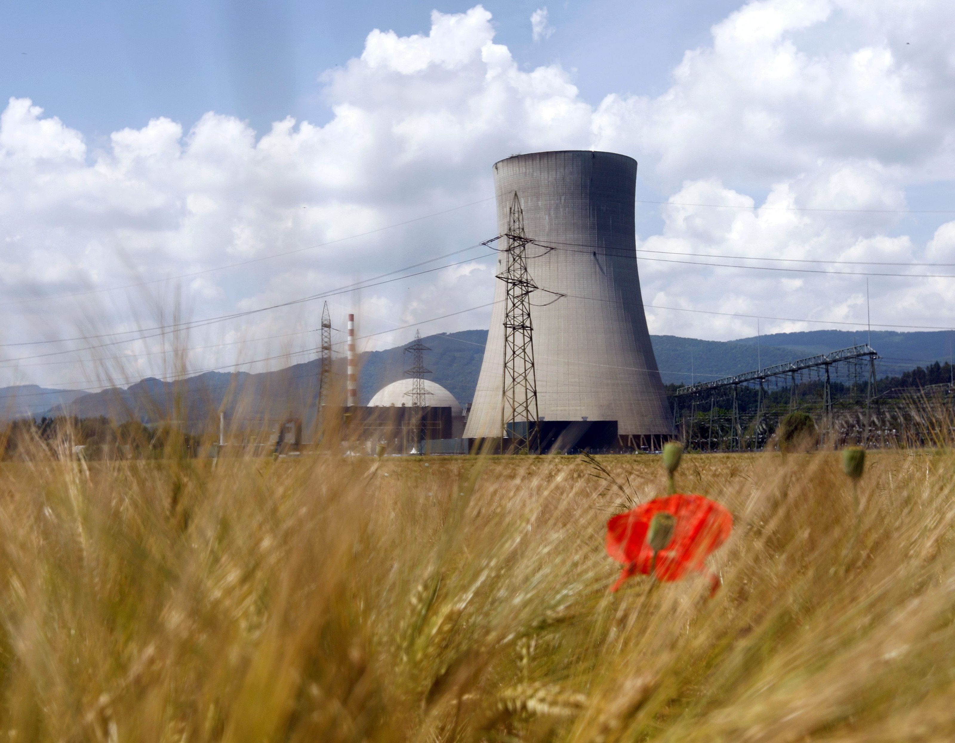 Die Schweiz hat einer ersten Hochrechnung zufolge gegen den schnellen Atomausstieg gestimmt. Die Schweiz hat einer ersten Hochrechnung zufolge gegen den schnellen Atomausstieg gestimmt.
