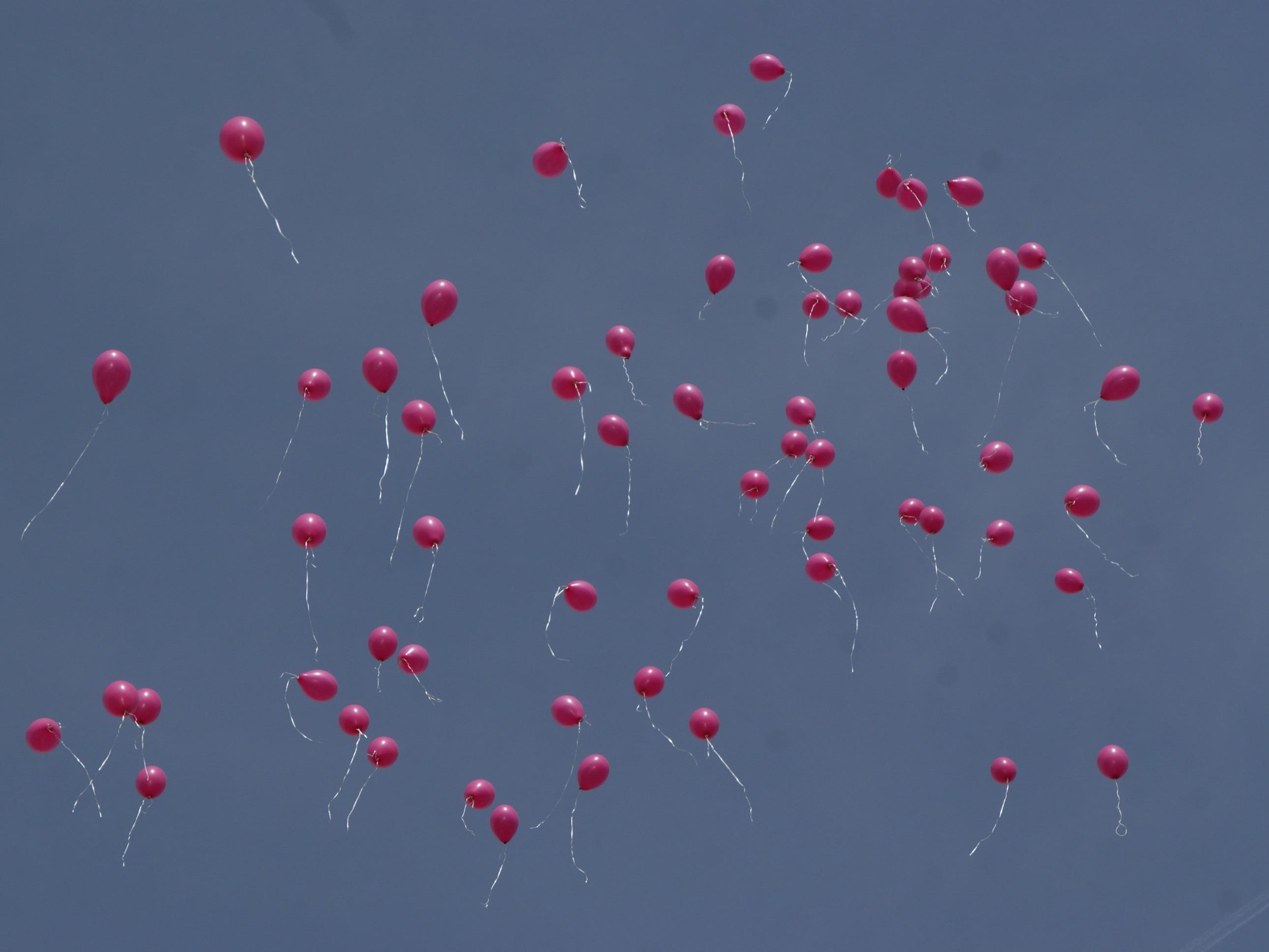 Eine stolze Summe kam für Pink Ribbon zusammen: v.li. Markus Rusch, Luzia Wieländer, Kurt Fischer