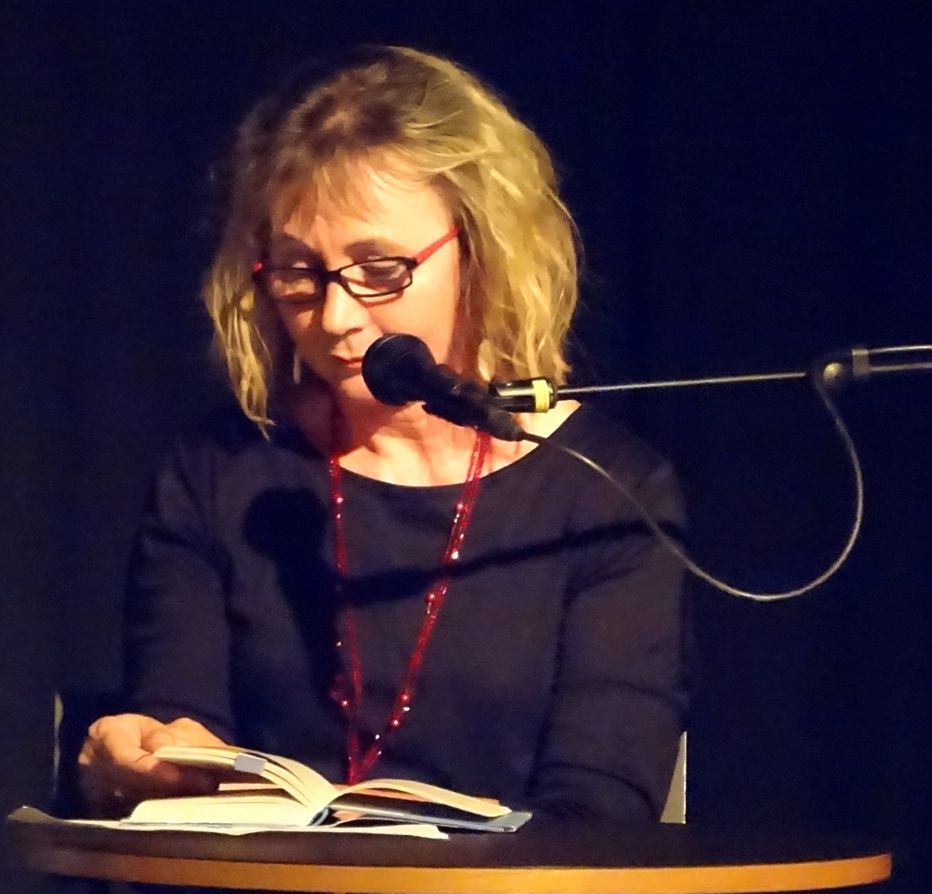 Erika Kronabitter las Auszüge aus ihrem neuesten Roman „La Laguna“. Erika Kronabitter las Auszüge aus ihrem neuesten Roman „La Laguna“.