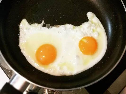Eier zum Frühstück verhindern Heißhunger-Attacken untertags.