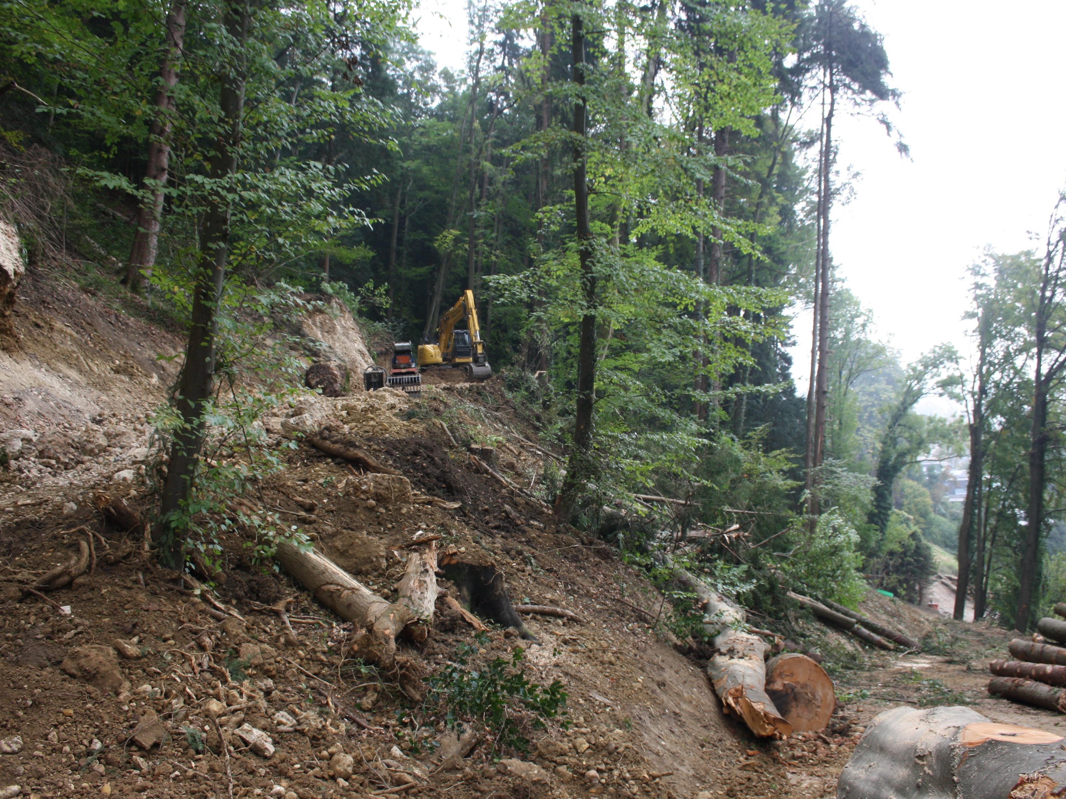 Mit umfangreichen Holzschlägerungen sowie der Anlegung einer Rohtrasse für den Forstweg wurden die Bauarbeiten beim Projekt „Steinschlagsicherung Klausmühle-Klausberg“ in Lochau Süd gestartet.