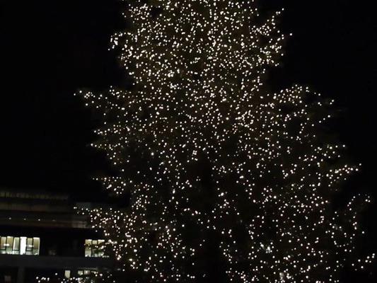 De Weihnachtsbaum vor dem Landhaus wird feierlich illuminiert.