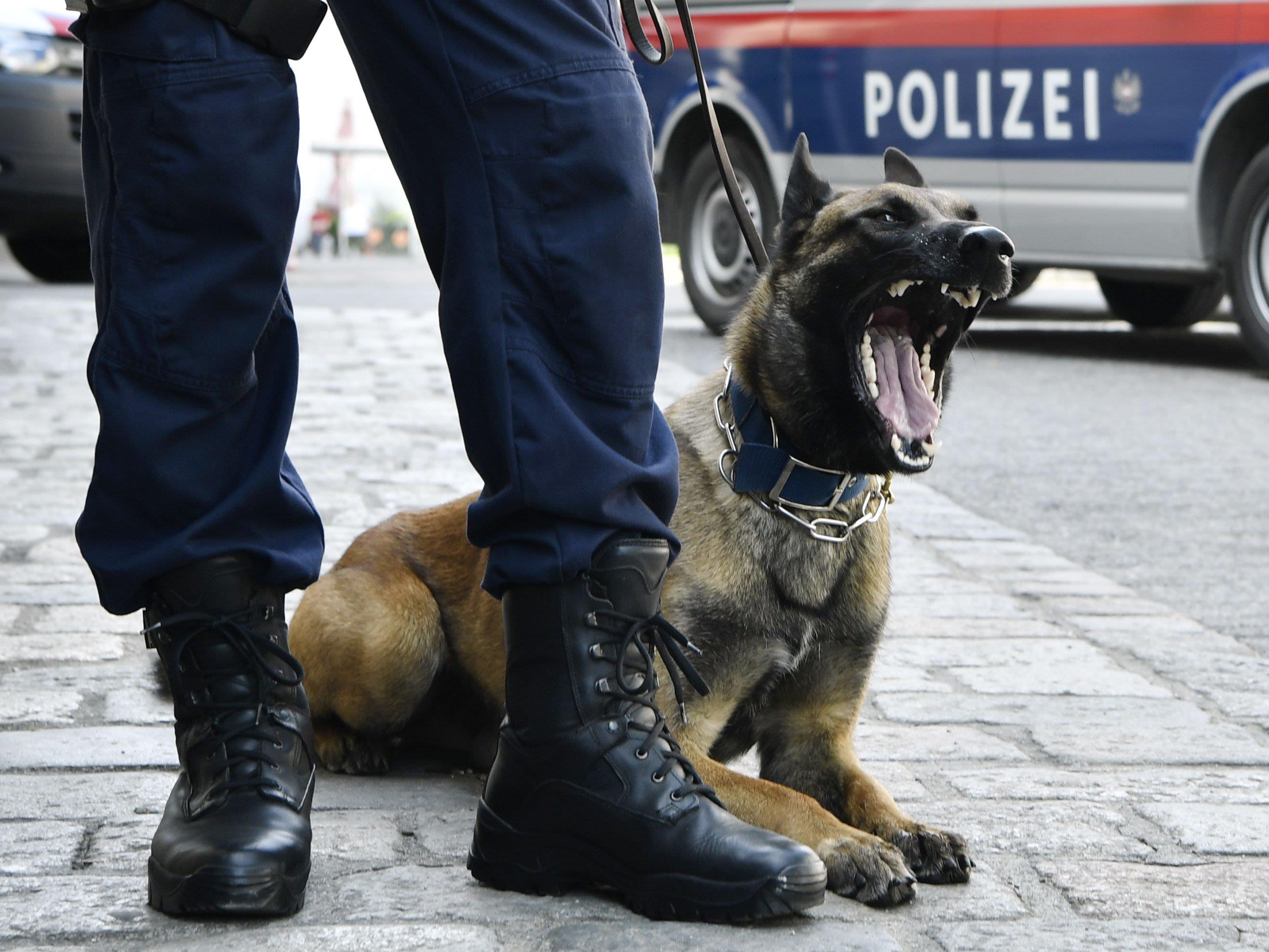 Ein Drogenspürhund entdeckte die Suchtmittel in Wien.