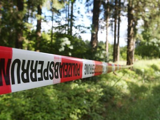 Die Leiche dürfte bereits vor mehr als einem Jahr in dem Waldstück abgelegt worden sein. Die Leiche dürfte bereits vor mehr als einem Jahr in dem Waldstück abgelegt worden sein.