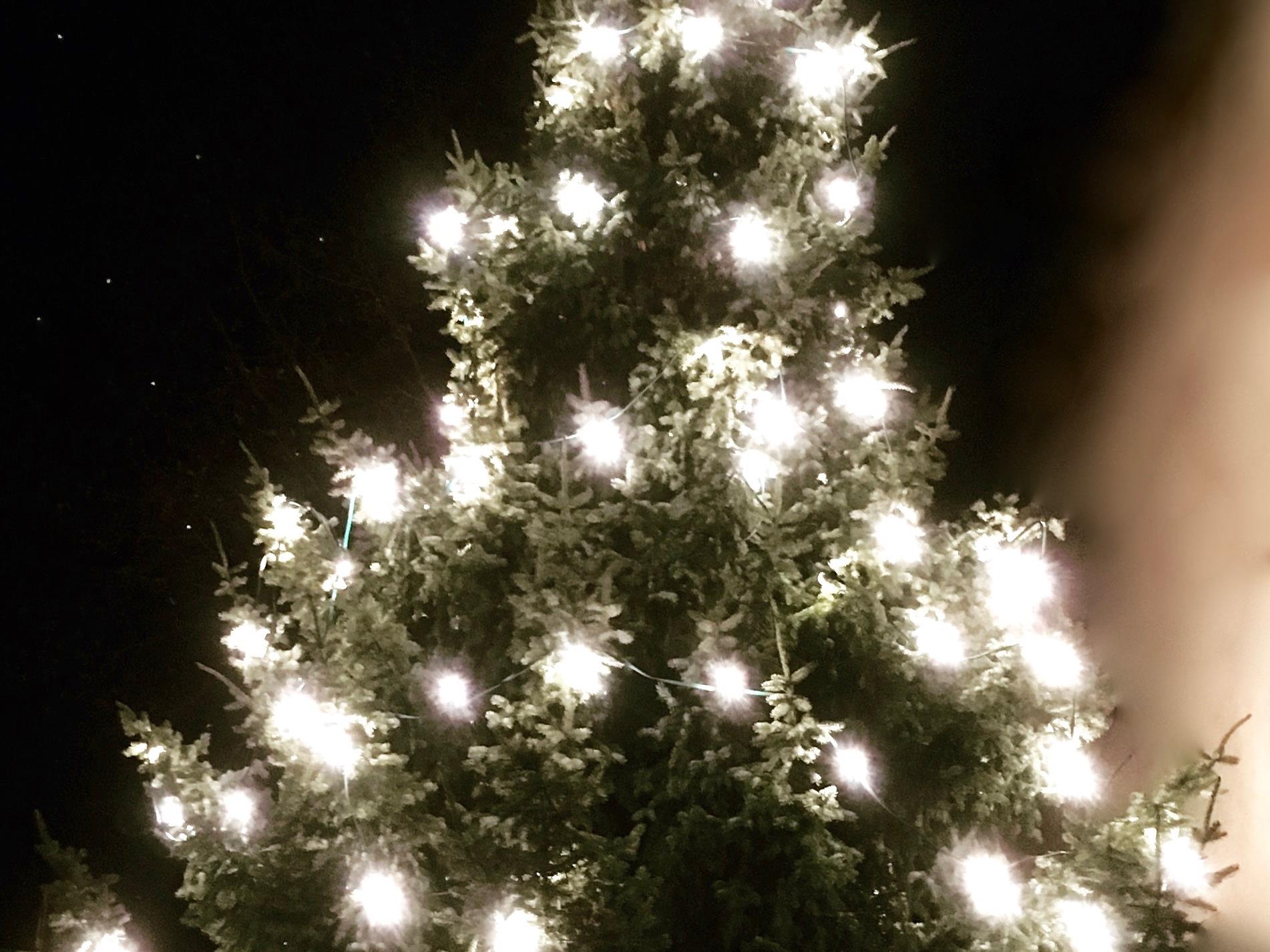 Leuchtende Weihnachtsbäume in Frastanz für einen guten Zweck
