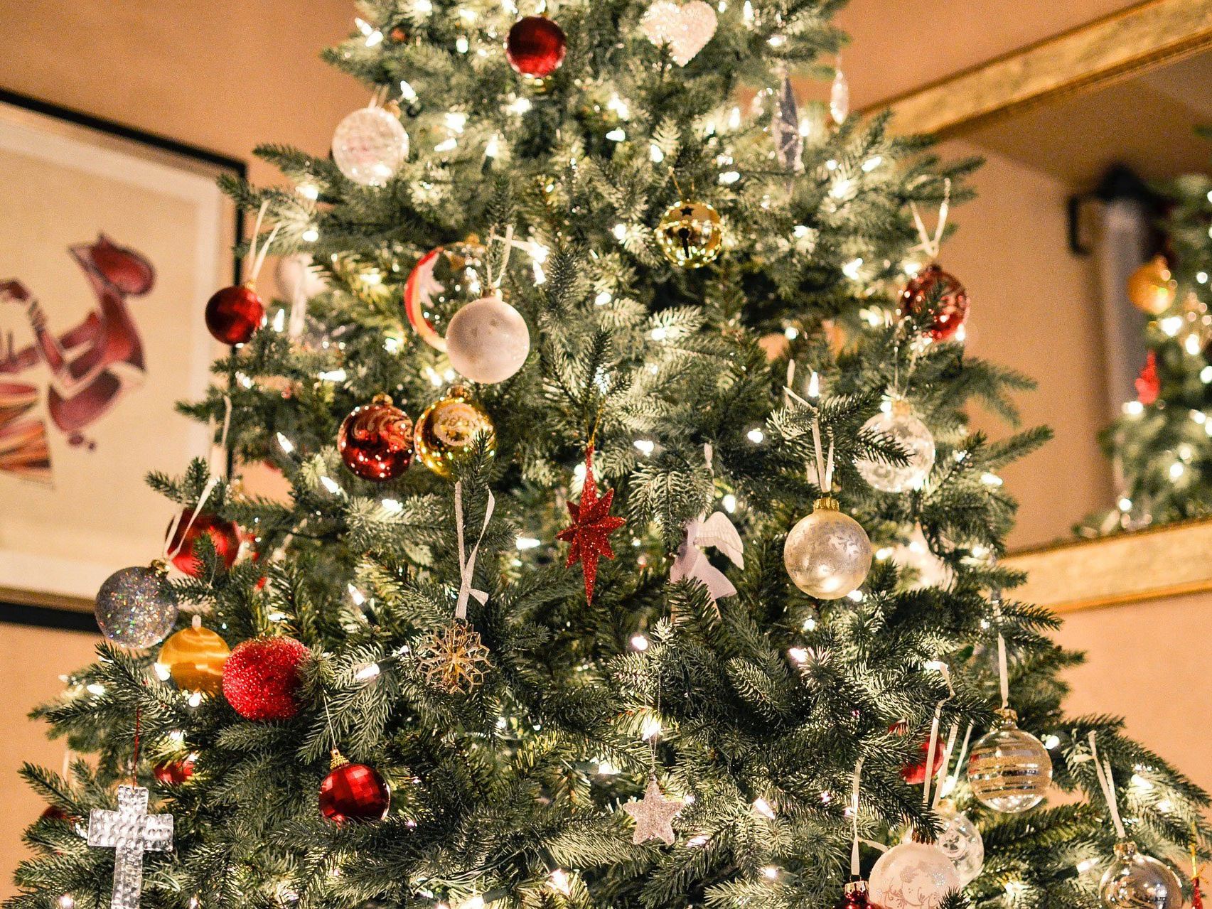 GfK-Studie: Durchschnittlich 85 Prozent haben grünes Weihnachtssymbol daheim GfK-Studie: Durchschnittlich 85 Prozent haben grünes Weihnachtssymbol daheim