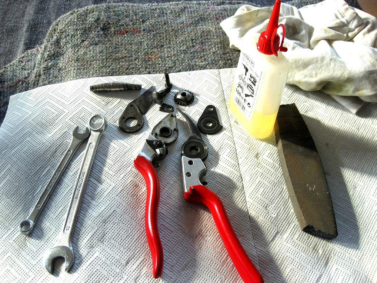 Die Zerlegung einer Gartenschere steht im Vordergrund des OGV Workshops Die Zerlegung einer Gartenschere steht im Vordergrund des OGV Workshops