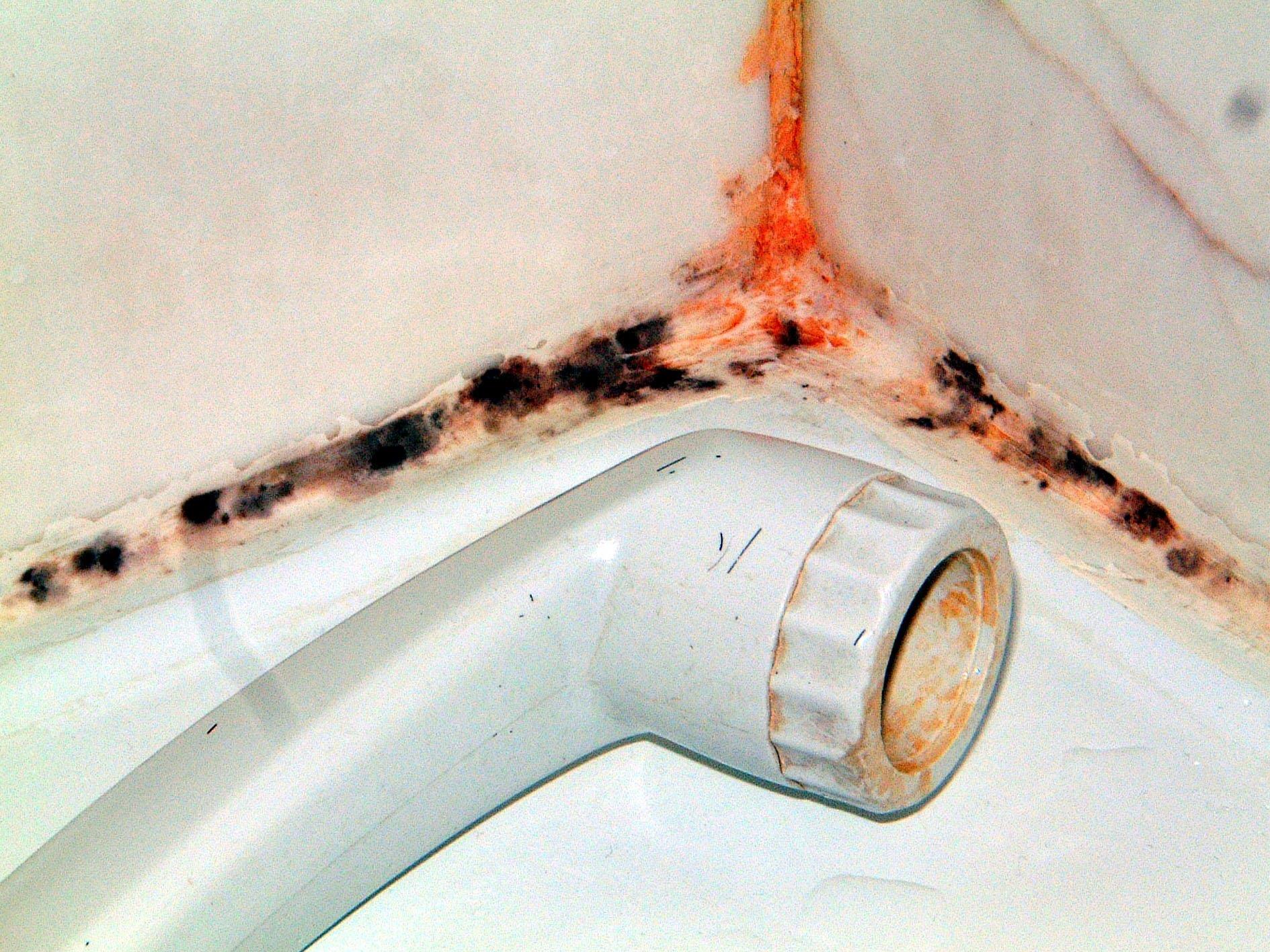 Besonders Badezimmer sind häufig von Schimmelbefall bedroht.