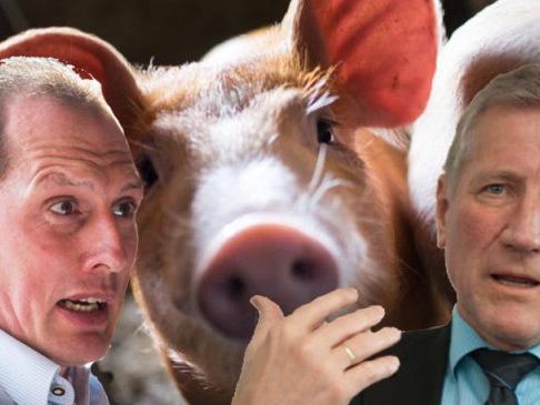 Die so genannten „Ländle Metzg“ Betriebe werden jährlich mindestens zweimal auf Fleischherkunft kontrolliert. Die so genannten „Ländle Metzg“ Betriebe werden jährlich mindestens zweimal auf Fleischherkunft kontrolliert.