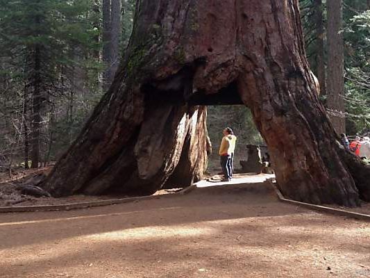 "Wir haben heute einen alten Freund verloren" "Wir haben heute einen alten Freund verloren"