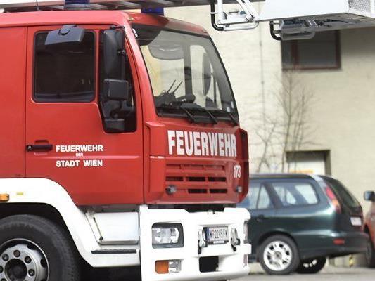 Die Feuerwehr Feldkirch-Tisis musste den Fahrzeugbrand löschen.