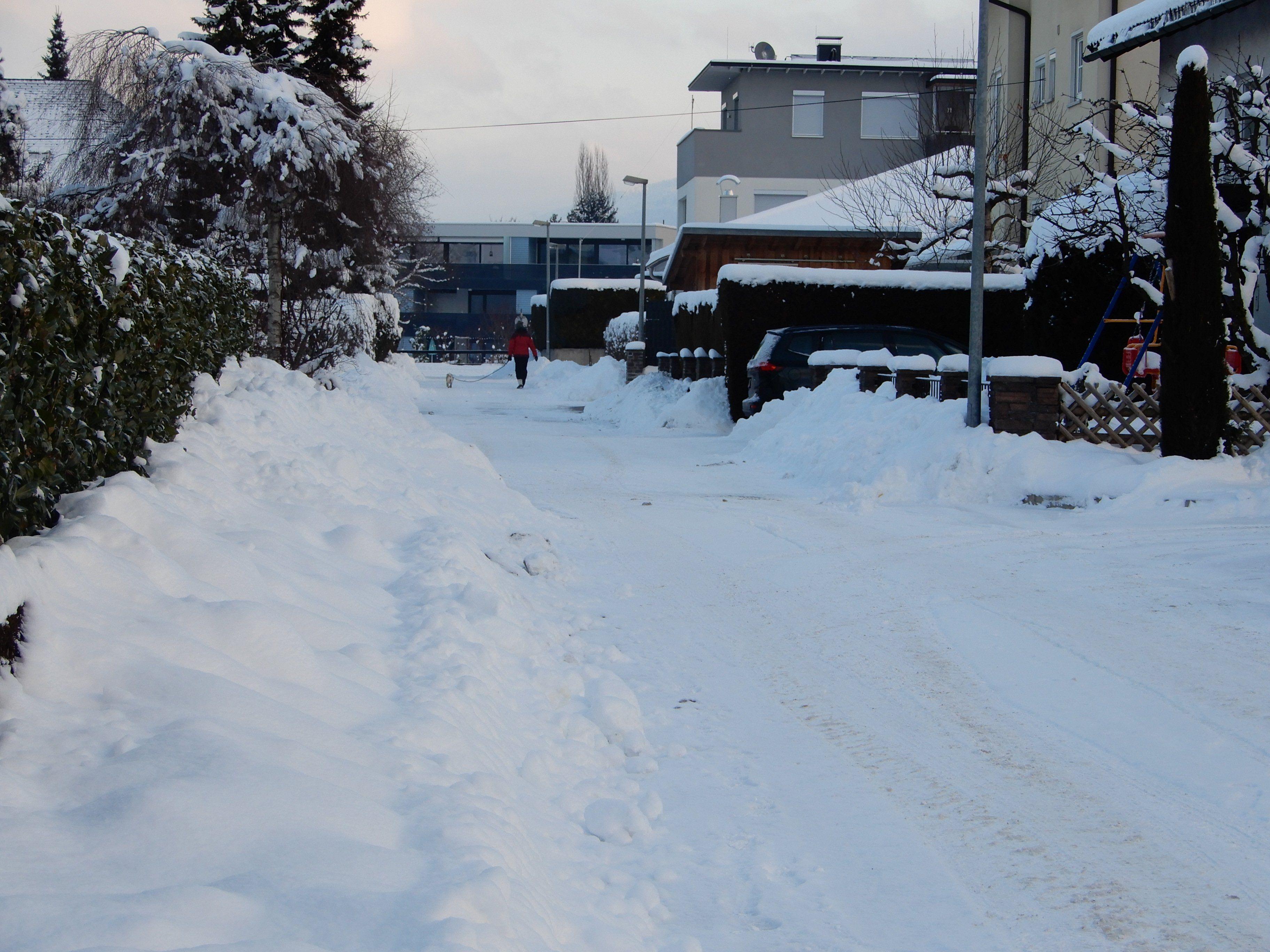 Einige Bürgerforumsteilnehmer würden es begrüßen, wenn die Winterdienstfahrzeuge nicht sofort ausrücken und der Umwelt zuliebe nicht jede kleine Seitenstraße  räumen und salzen, sondern auch einmal eine Schneefahrbahn lassen.
