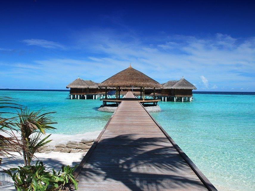 Sehnen Sie sich auch schon nach Urlaub? Sehnen Sie sich auch schon nach Urlaub?